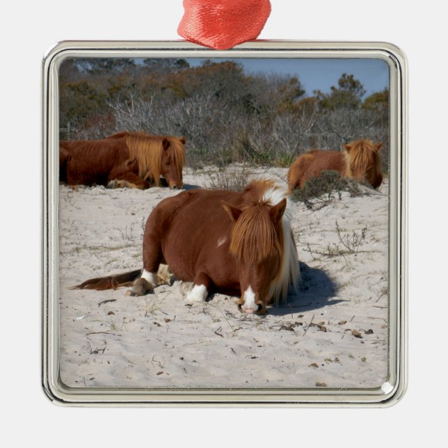 Napping Wild Ponies at Assateague National Park Metal Tree Decoration (Front)