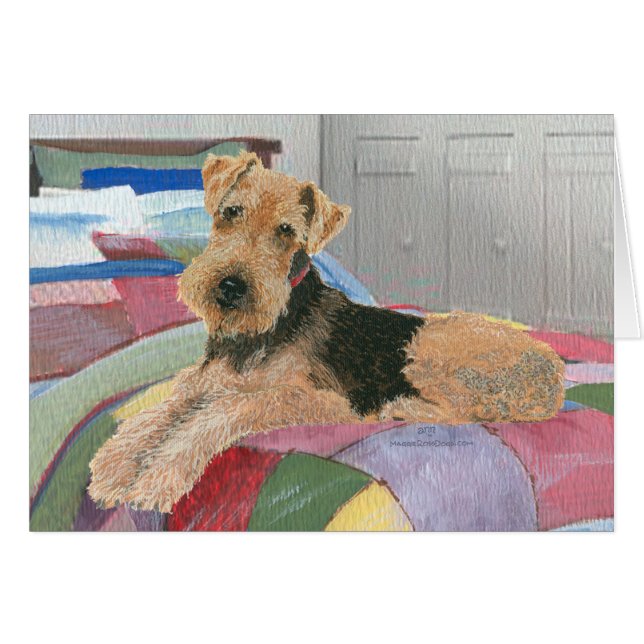 Naptime (Front Horizontal)