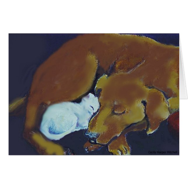 Naptime (Front Horizontal)