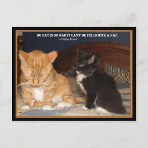 Naptime! Postcard