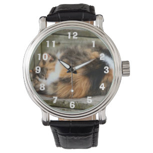 Naptime Watch