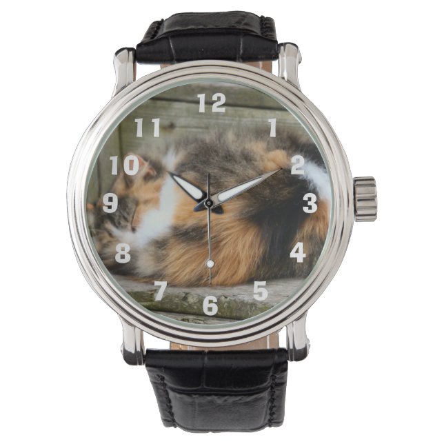 Naptime Watch (Front)