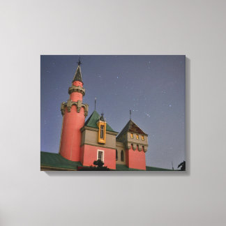 Nara Dreamland Fantasy Castle (night) Canvas Print