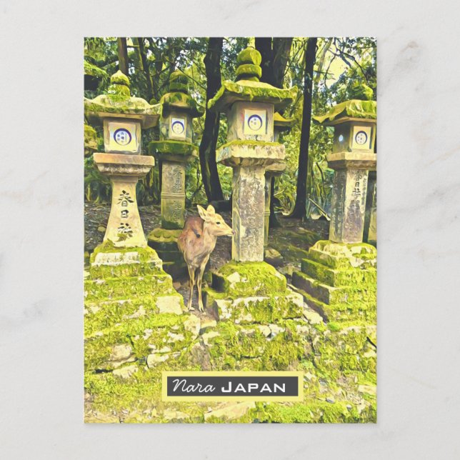 Nara Japan deer park travel print Postcard (Front)