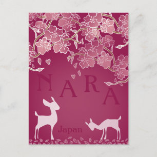 Nara Japan Sakura Deer Hand Illustrated  Postcard