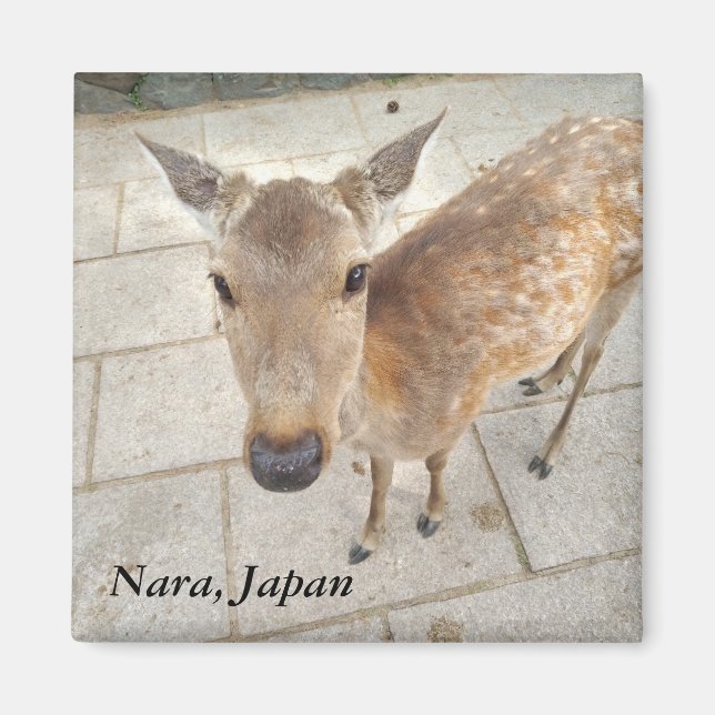 Nara Japan souvenir photo magnet (Front)