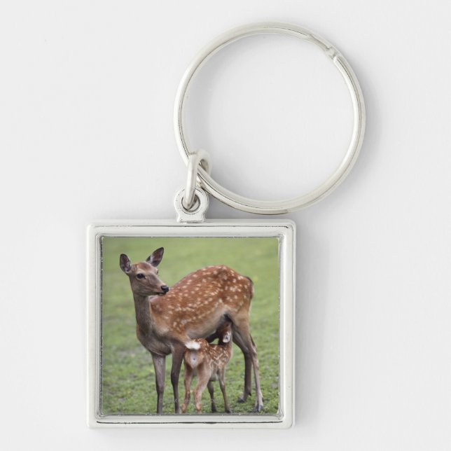 Nara Prefecture, Honshu, Japan 2 Key Ring (Front)