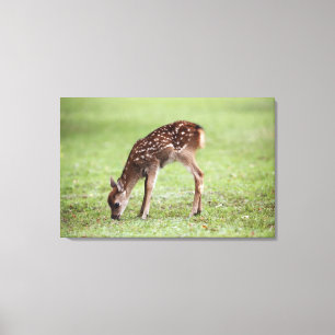 Nara Prefecture, Honshu, Japan 3 Canvas Print