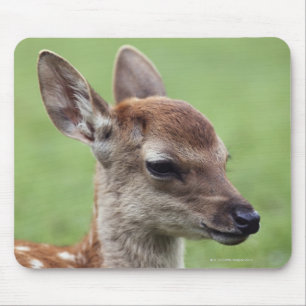 Nara Prefecture, Honshu, Japan Mouse Mat