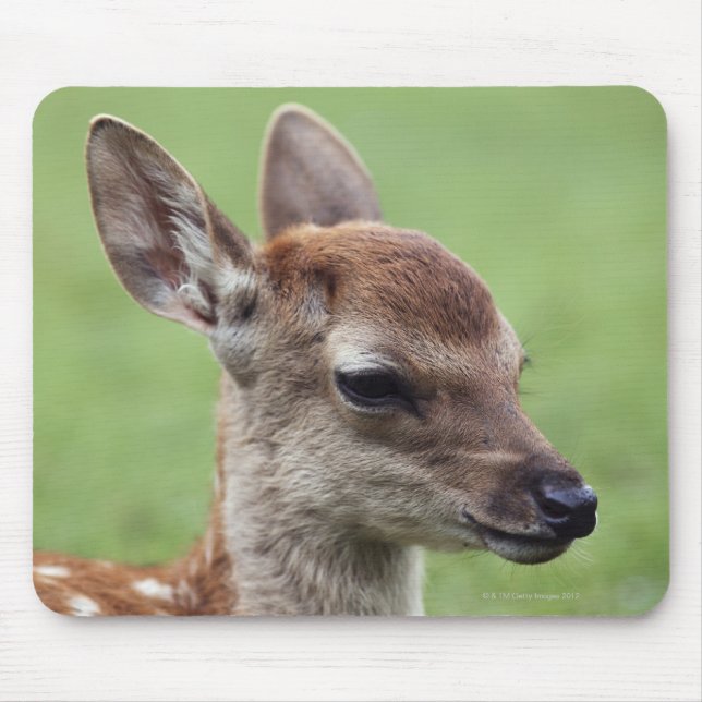 Nara Prefecture, Honshu, Japan Mouse Mat (Front)