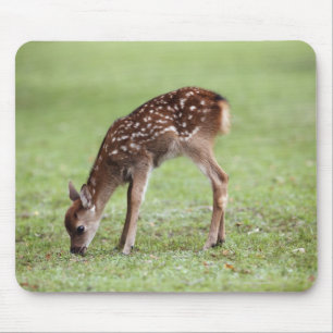 Nara Prefecture, Honshu, Japan Mouse Mat