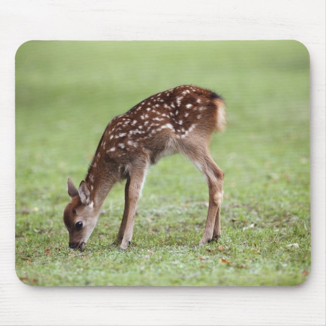 Nara Prefecture, Honshu, Japan Mouse Mat (Front)