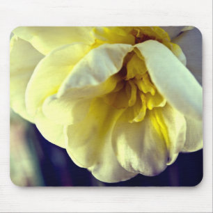 Narcissus Daffodil Mouse Mat