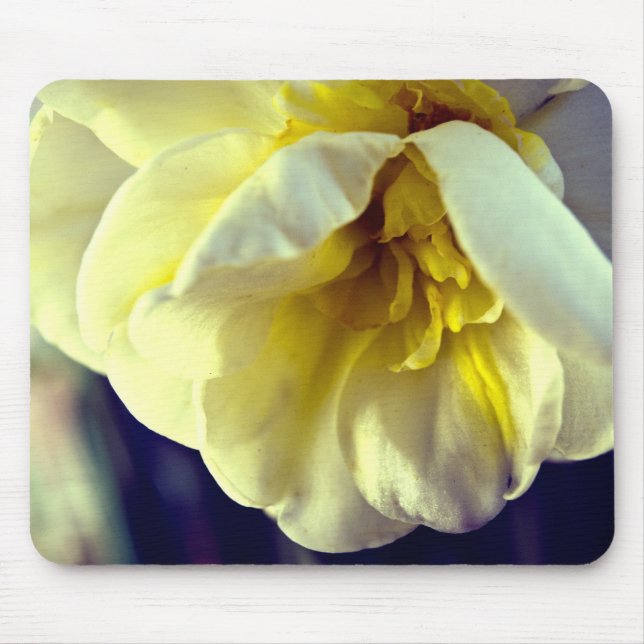 Narcissus Daffodil Mouse Mat (Front)