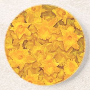 Narcissus Flowers Coaster
