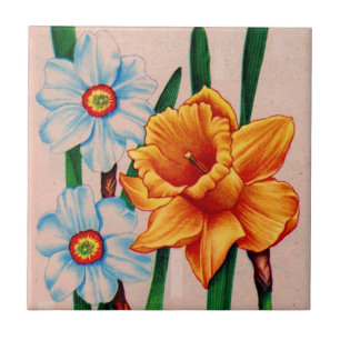 narcissus flowers tile