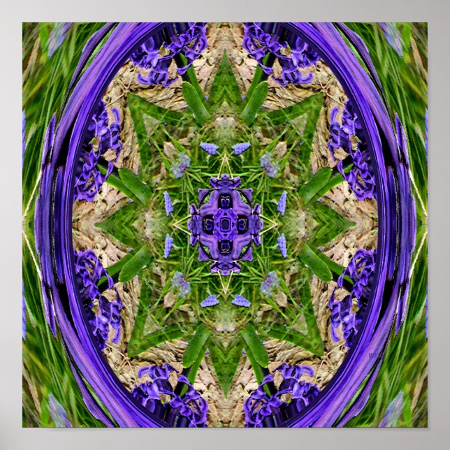 Narcissus Garden..... Poster (Front)