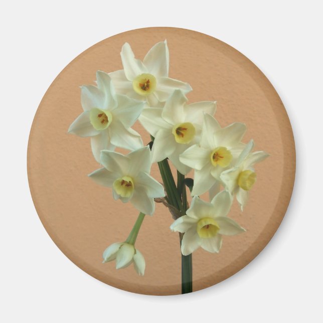 Narcissus Magnet (Front)