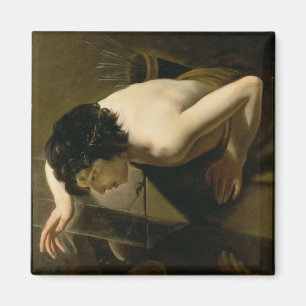Narcissus Magnet