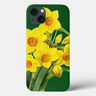 Narcissus (N Tazetta) iPhone 13 Case