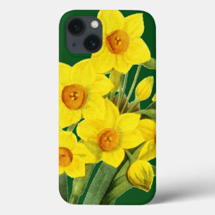 Narcissus (N Tazetta) iPhone 13 Case