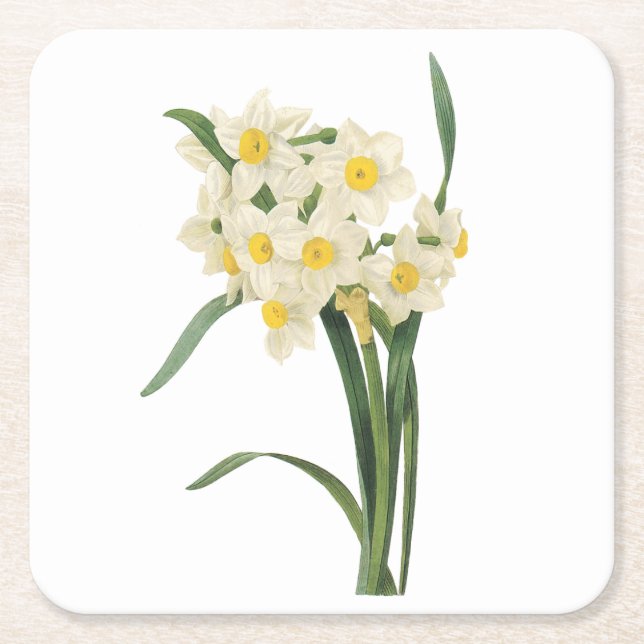 narcissus(Narcissus tazetta) by Redouté Square Paper Coaster (Front)