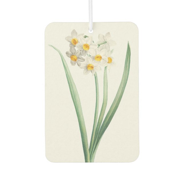 Narcissus, Pierre-Joseph Redouté, 1805 Car Air Freshener (Front)