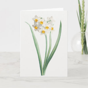 Narcissus, Pierre-Joseph Redouté, 1805 Card