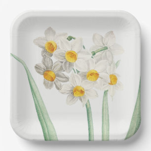 Narcissus, Pierre-Joseph Redouté, 1805 Paper Plate