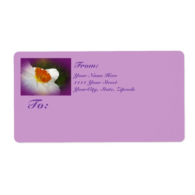 Narcissus - Springtime Beauty (Front)