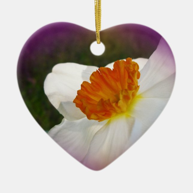 Narcissus - Springtime Beauty Ceramic Tree Decoration (Front)