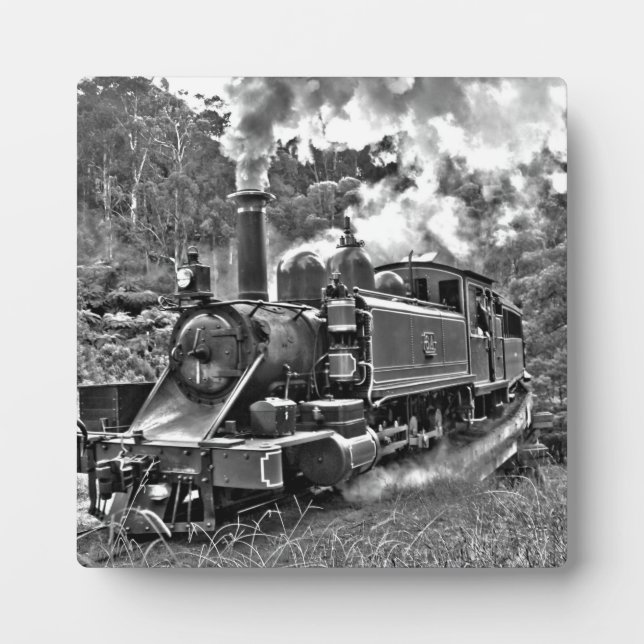 Narrow Gauge Steam Train Puffing Engine Plaque (Front)