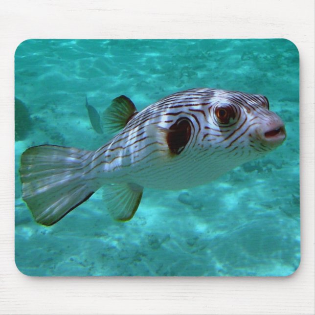 Narrow-lined Puffer Fish Mouse Mat (Front)
