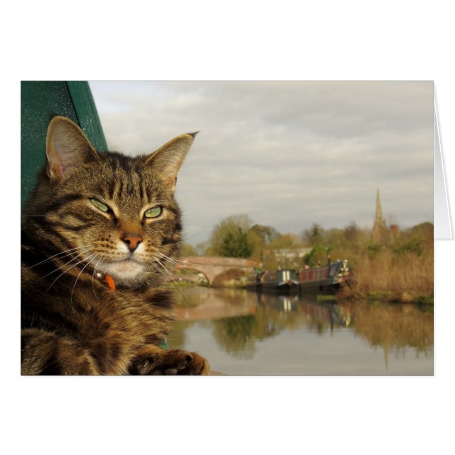 Narrowboat Cat Canal Scene at Braunston. (Front Horizontal)