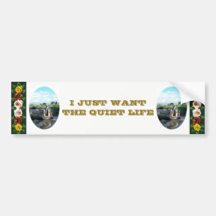 NARROWBOATS BUMPER STICKER