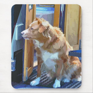 NARROWBOATS MOUSE MAT