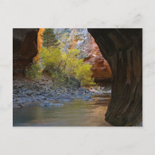 Narrows In Zion National Park Postcard