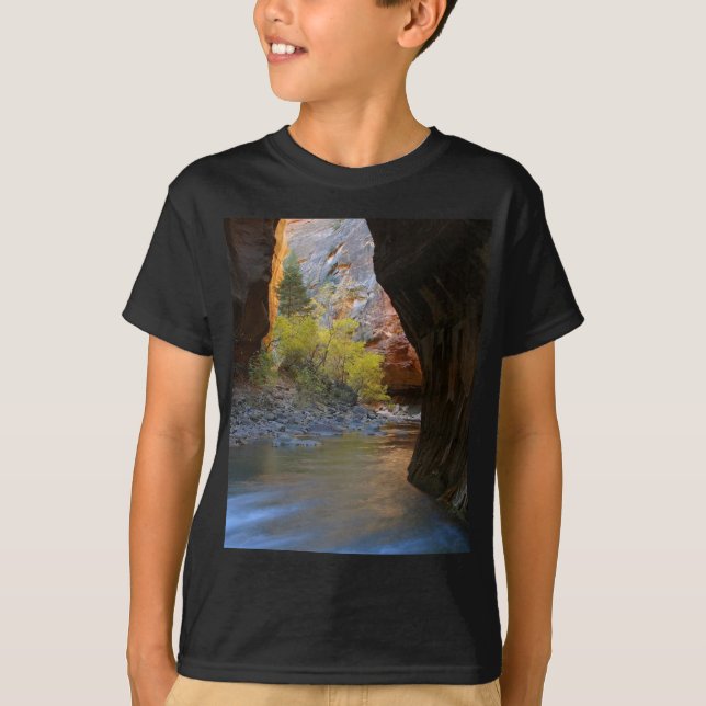 Narrows In Zion National Park T-Shirt (Front)