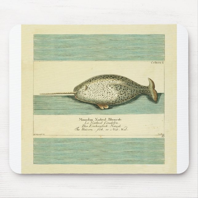 Narwhal Antique Whale Watercolor Painting Mouse Mat (Front)