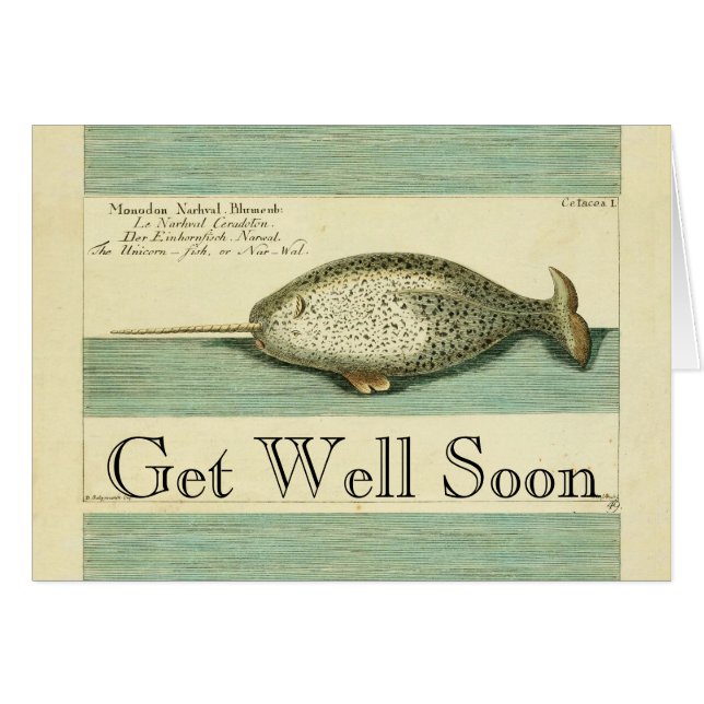 Narwhal Antique Whale Watercolor Scientific Art (Front Horizontal)