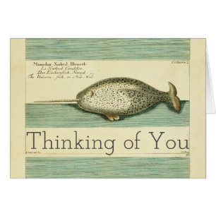 Narwhal Antique Whale Watercolor Scientific Art