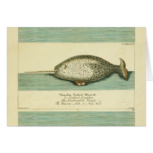 Narwhal Antique Whale Watercolor Scientific Art (Front Horizontal)