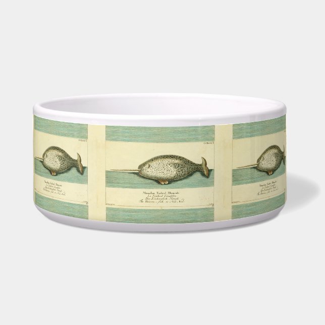 Narwhal Antique Whale Watercolor Scientific Art (Front)