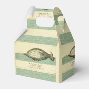 Narwhal Antique Whale Watercolor Scientific Art Favour Box