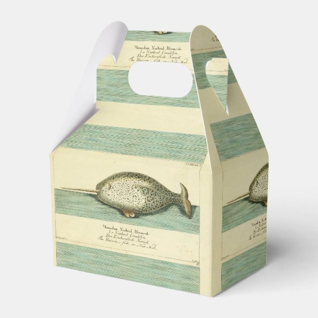 Narwhal Antique Whale Watercolor Scientific Art Favour Box (Front Side)
