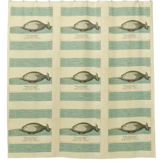 Narwhal Antique Whale Watercolor Scientific Art Shower Curtain (Front)
