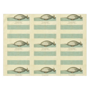Narwhal Antique Whale Watercolor Scientific Art Tablecloth