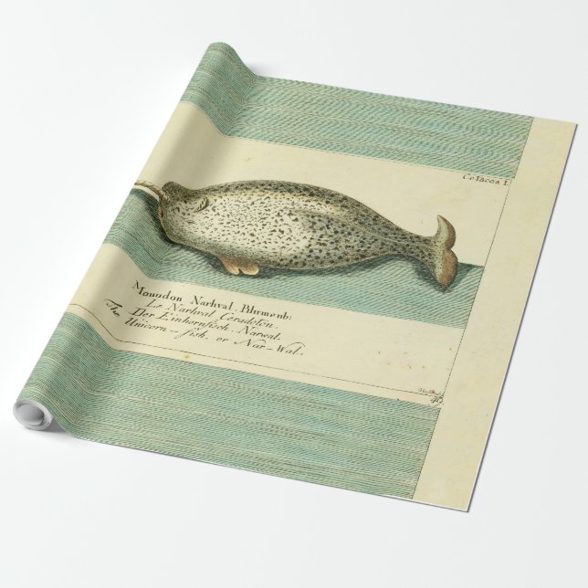 Narwhal Antique Whale Watercolor Scientific Art Wrapping Paper (Unrolled)