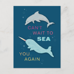 Narwhal Dolphin Friends Postcard