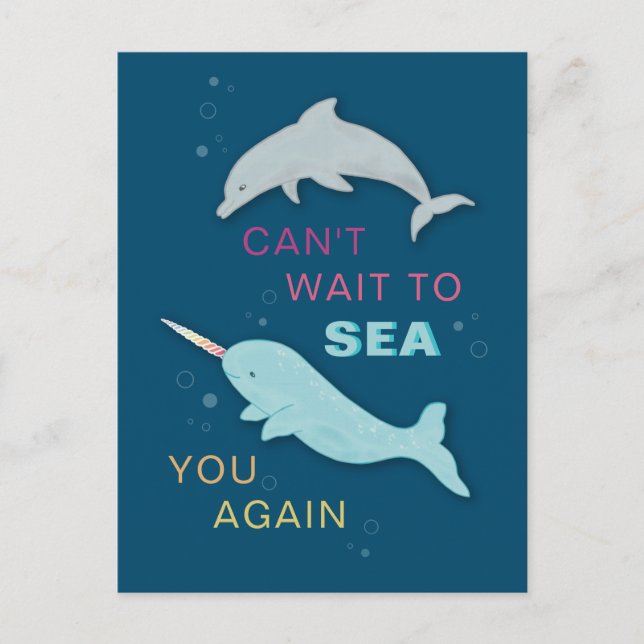 Narwhal Dolphin Friends Postcard (Front)